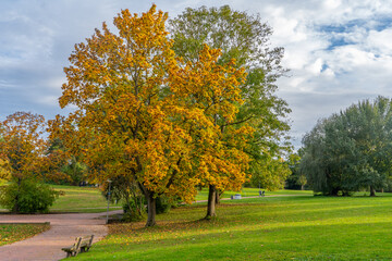 Vibrant Autumn Trees Turning Orange and Yellow by Max-Eyth Lake in Stuttgart