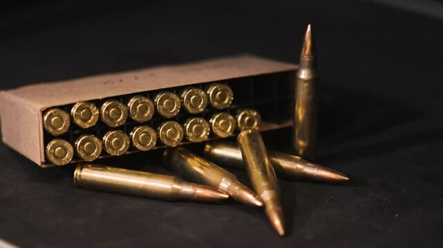 Sepia tones across crisp look of ammo.