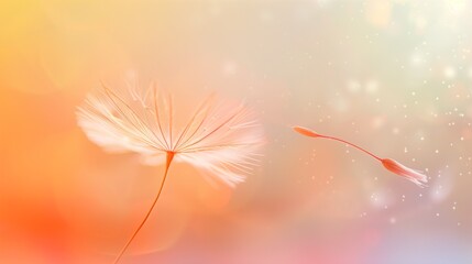An isolated, delicate dandelion seed floating on a light gradient.