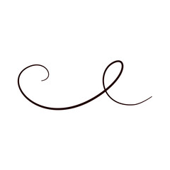 Line flourish swirl vector calligraphy ornament element