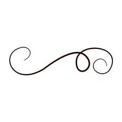 Line flourish swirl vector calligraphy ornament element