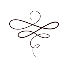 Line flourish swirl vector calligraphy ornament element