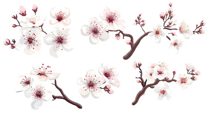Pink Cherry Blossoms on a Clear Background Generative AI