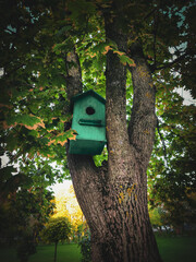 A green birdhouse is perched on a tree branch. The birdhouse is small and green, and it is sitting on a tree branch. The tree is full of leaves, and the birdhouse is the only thing visible on the tree