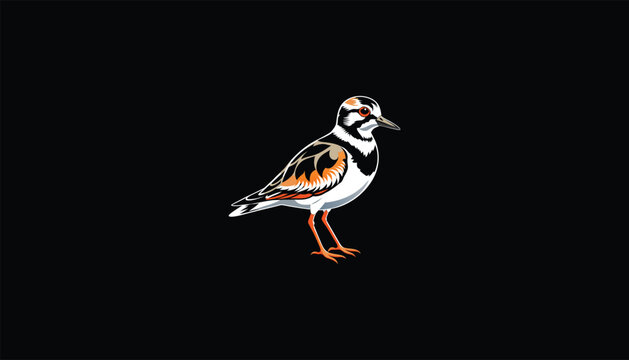 recommend clip art: Ruddy Turnstone Image, Circle Design, Black Background, White Outline, Shorebird Illustration