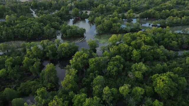 Flooded forest, forest areas covered by shallow water. These forests are ecologically, biologically and economically important forests. Therefore, it has an important function for ecosystem integrity.