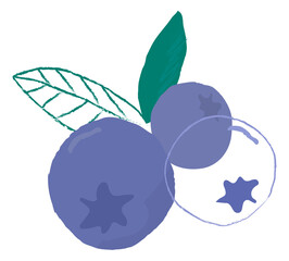 Png pastel hand drawn blueberry fruit clipart