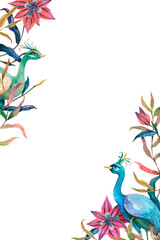 Png frame with watercolor peacock and flower border on transparent background