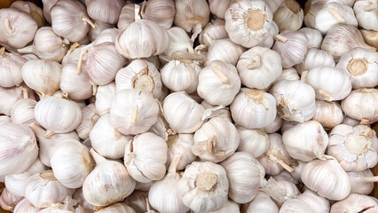 Garlic. Fresh Dried Garlic on a Farmers Market..White garlic head pile texture background.
