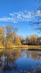 Golden autumn reflections in a tranquil pond under a bright blue sky