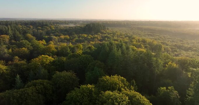 Vue a&eacute;rienne de la for&ecirc;t de Cr&eacute;cy