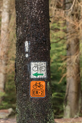 Green bike trail and main bike trail ER-2, marking placed on a tree trunk, tourist bike trail in the Table Mountains.