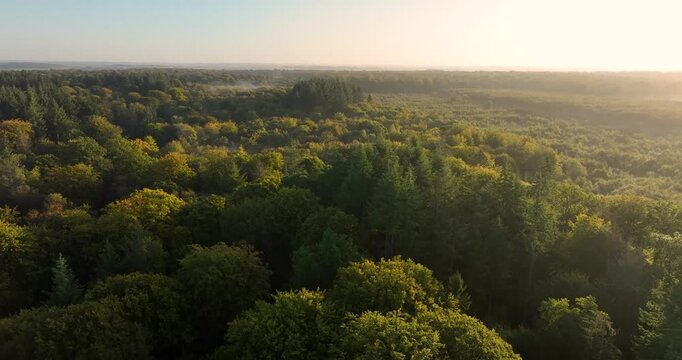Vue a&eacute;rienne de la for&ecirc;t de Cr&eacute;cy