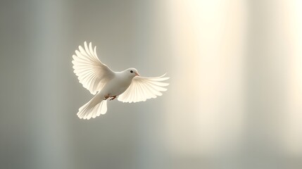 Obraz premium Elegant White Dove in Graceful Flight Conveying Peace and Tranquility