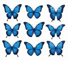 Blue Morpho Butterflies Pattern 
