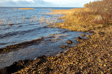 autumn sea shore landscape in Kurtinhauta, Oulu Finland