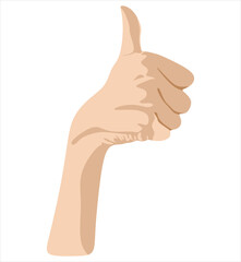 Upward facing female hand vector illustration isolated on white background. Female open palm up in receiving or holding, showing, presenting product business concept. 