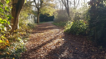 Fototapeta premium Serene Autumn Trail Through the Lush Green Forest