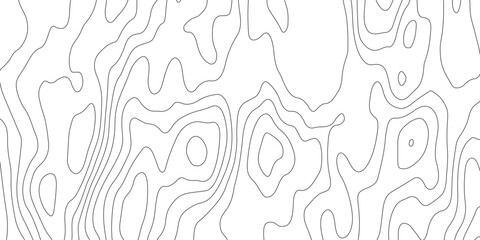 abstract pattern with lines. background of the topographic map. elevation contouring outline cartography texture. geographic abstract grid. futuristic wireframe lands. black and white seamless pattern