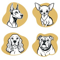 Four dogs of different breeds are shown in a row