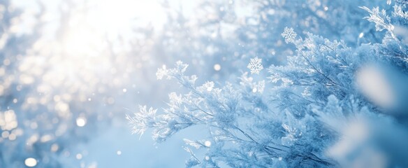 The Frosty Winter Landscape