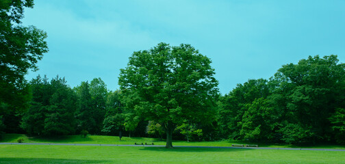Green Park