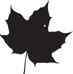 Leaf Icon Set and treeleaf