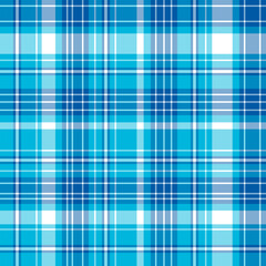Seamless pattern in magical light and dark blue and white colors for plaid, fabric, textile, clothes, tablecloth and other things. Vector image.