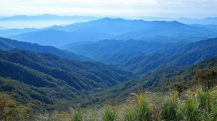 Obraz premium Breathtaking Blue Ridge Mountains Landscape