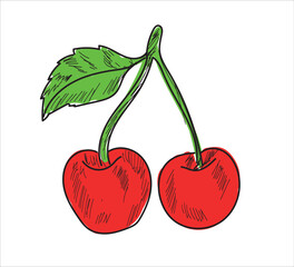 cherry black line drawn on a white background. Vector drawing of fruits. Abstract stains. Colorful cherryies.