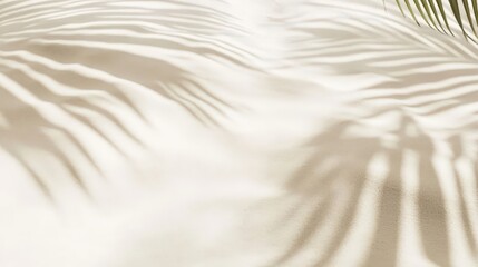 Obraz premium Light and Shadow Play on Soft Sand Surface