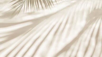 Elegant Shadows of Tropical Leaves on Light Background