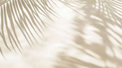Obraz premium Soft Shadows from Palm Leaves on Light Surface