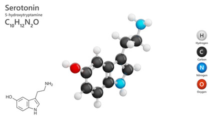 Serotonin. A detailed 3D model of a human hormone molecule. Neurotransmitter. Antidepressant. Molecular formula: C10H12N2O. Chemical model: Ball and Stick. White background. 3d illustration