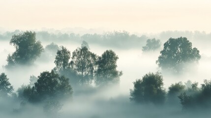 Ethereal Misty Forest Landscape at Dawn