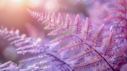 Dynamic cyclist racing through a challenging terrain during a vibrant sunset