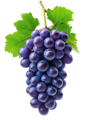 Fototapeta premium Fresh bunch of purple grapes with vibrant green leaves, perfect for healthy snacking and culinary presentations. isolated on transparent background