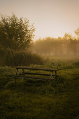 A foggy morning in the park, where mist lingers among the trees. Gentle rays of sunlight pierce through the fog, casting a soft, golden glow. Dew glistens on the grass, and the air is still and cool.