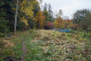 drzewa,most  © Marcin Łazarczyk