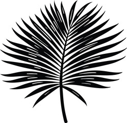 

Palm leaves silhouette, Tropical leaves vector, palm leaves and branches
