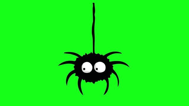Spider vector animation with eyes moving on green screen. Looping vector animation for Halloween, scary, spooky, horror editing