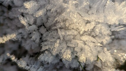 Eiskristalle im Sonnenlicht