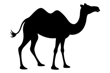 camel silhouette vector illustration