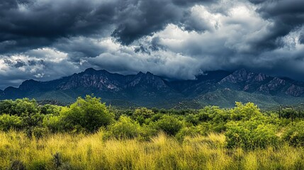 Naklejka premium Rolling, billowy gray monsoon storm clouds hovering over the Catalina Mountains in Tucson, Arizona.