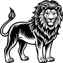 lion illustration on white background