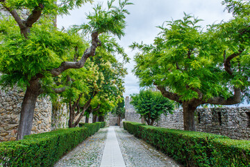Obraz premium A scenic stone pathway lined with manicured hedges and lush green trees