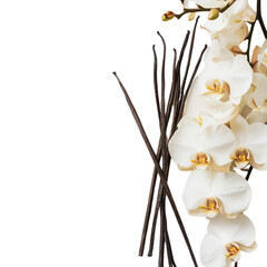 Fresh aroma orchid vanilla with sticks  isolated on transparent background Generative AI	
