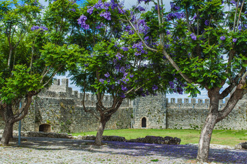 Purple-flowered trees frame an ancient stone wall and tower