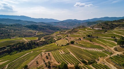 Enchanting Aerial Perspectives: Unveiling the Majestic Vineyards in Catalonia's Priorat Appellation
