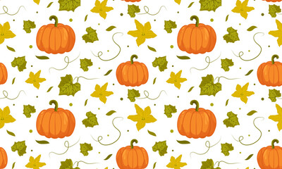 Seamless pattern with pumpkin, leaves and flowers .Vegetable pumpkin. Vector. Autumn pumpkin symbol for Halloween or Thanksgiving. Flat design. Isolated